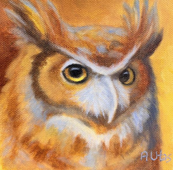 Great Horned Owl